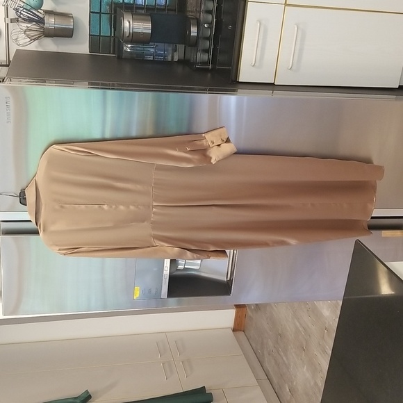 💕REFORMATION💕 Lyon Silk Dress ~ Croissant 8 NWT - Picture 8 of 14